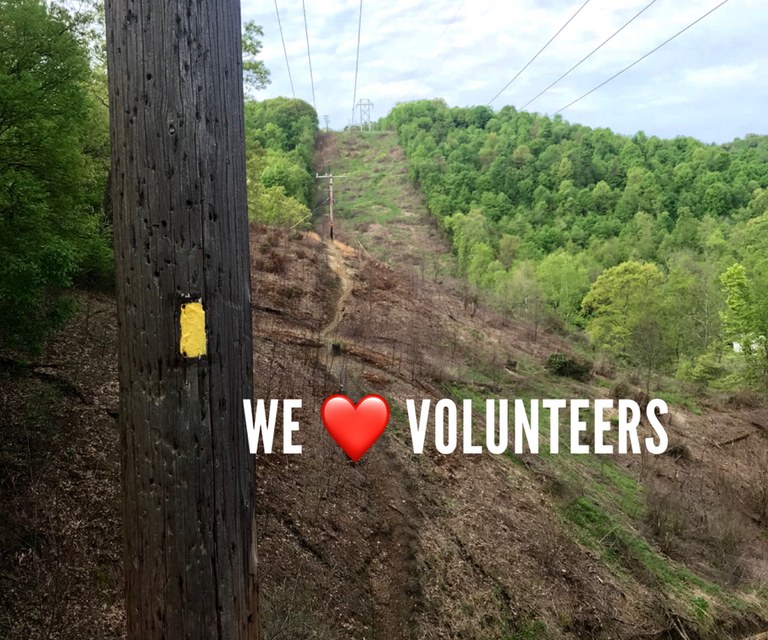 we love volunteers resized.jpg