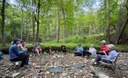 Forest Bathing